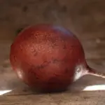 Hvordan rengør jeg min planterullevogn, og hvad skal jeg undgå?