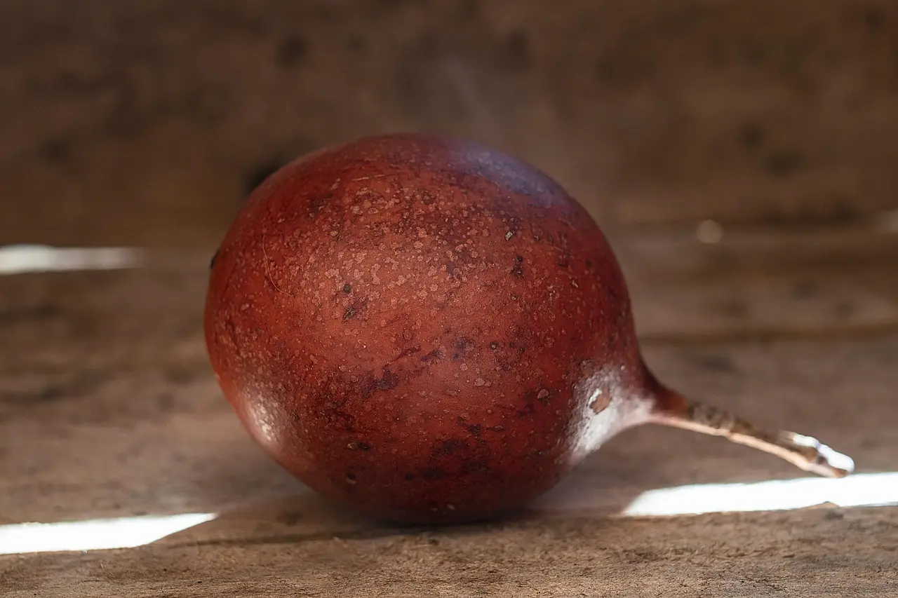 Hvordan rengør jeg min planterullevogn, og hvad skal jeg undgå?